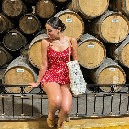 Tour a Tequila + José Cuervo Destileria desde Guadalajara